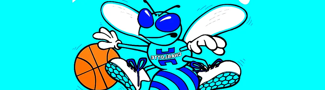 Charlotte Hornets