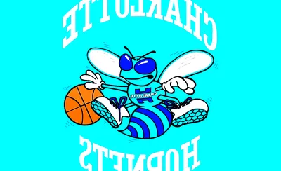 Charlotte Hornets