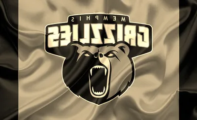 Memphis Grizzlies