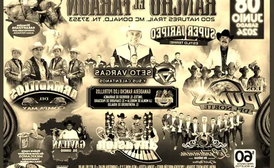 Viva El Jaripeo