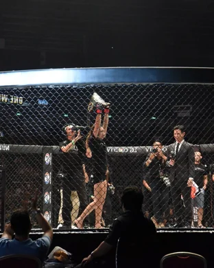 UFC Fight Night: Hernandez vs. Rodrigues